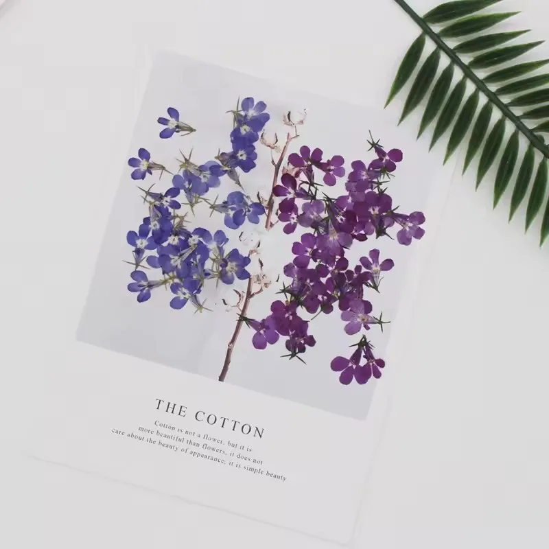 120 Stück/1,5 cm, natürliche kleine Blumen-Tropfen-Kleberaufkleber für Handyhüllen, Lesezeichen, Fotorahmen, Dekoration, Schönheits- und Nagelverzierungsmaterial, Herbstdeko – Detail 8