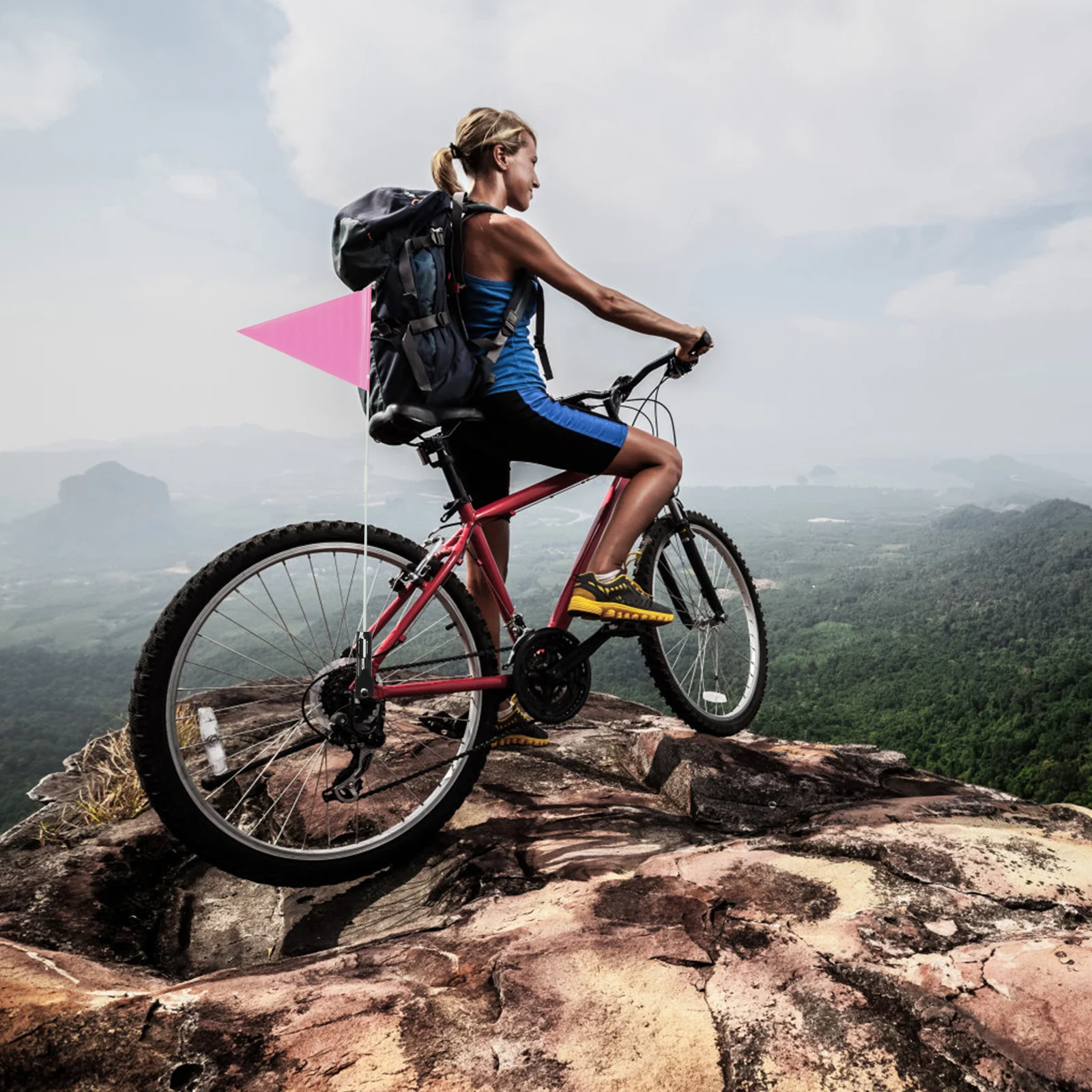 

1Set Bike Flag Safety Warning Adjustable Sturdy Pole Multi-Function Bicycle Mounting Flag for Road Riding Outdoor Use