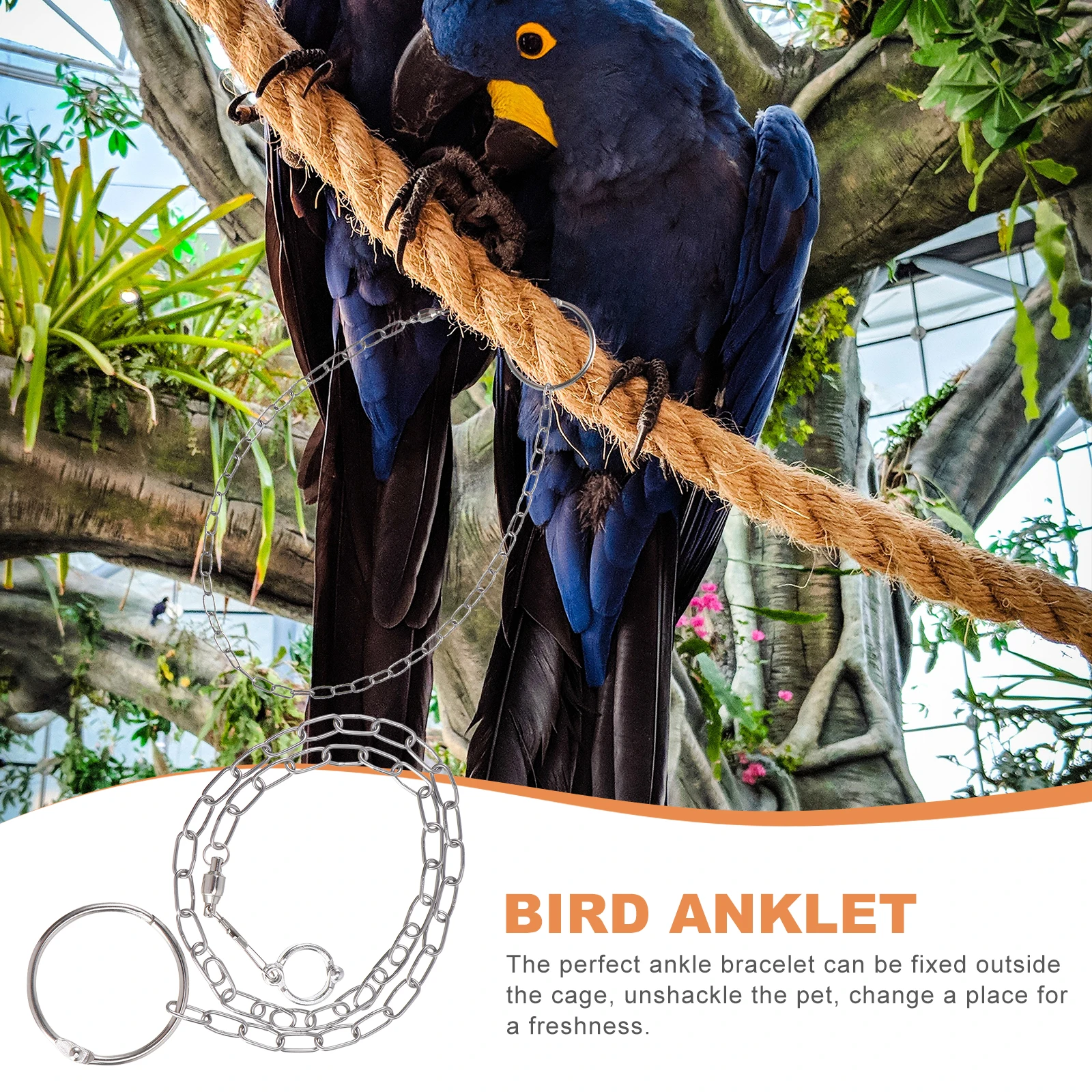

Stainless Steel Anklet Parrot Supplies Foot Chain Leash for Bird Leg Rings