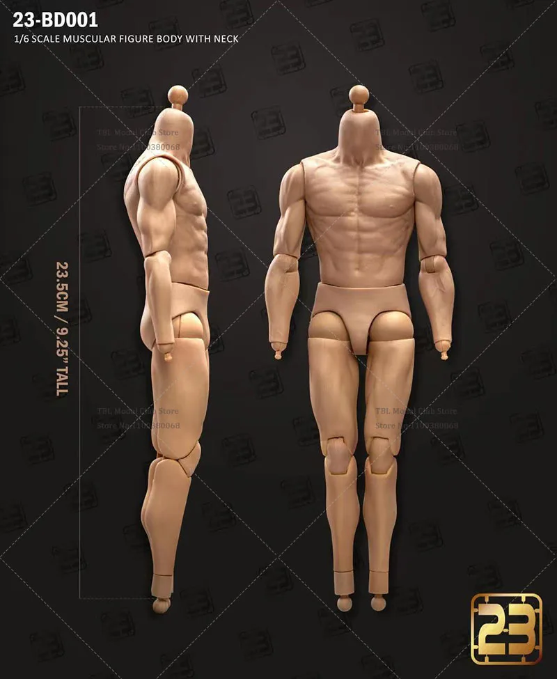 23TOYS 23-BD001 BD002 BD003 BD004 BD005 BD006 BD007 1/6 Scale 23.5cm - 27.5cm Male Soldier Standard Muscle Articulate Joint Body