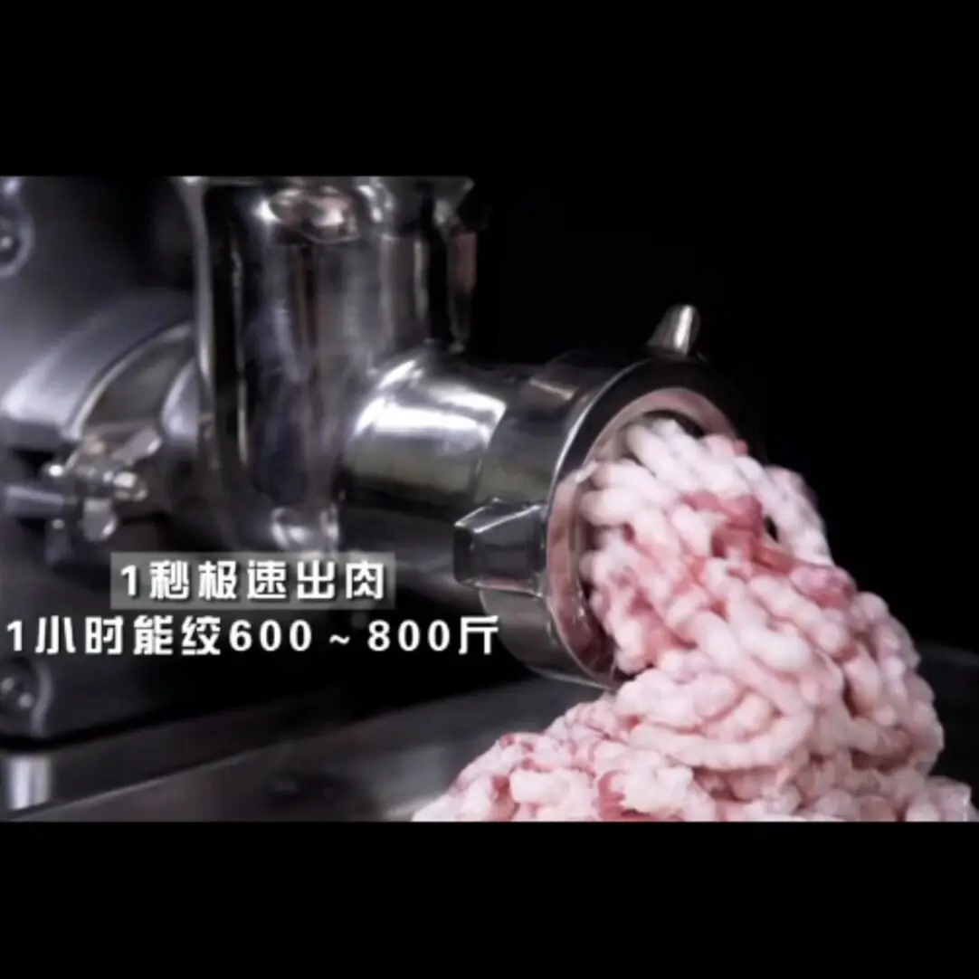 Electric Meat Grinder Household Multifunctional Automatic Stainless Steel Minced Meat Filling Machine