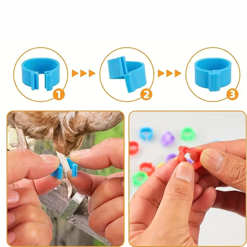 80 pcs Farm Animal ID Rings for Farm Animal Breeding, Easy Snap-On Apply, Durable Plastic, Multipurpose, Random Color