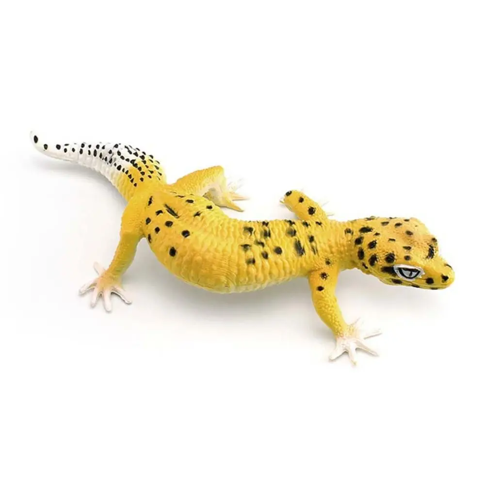 Simulatie Hagedis Model Beeldjes PVC Materiaal Educatief Reptiel Dieren Figuren Miniatuur Statische Gekko Figuur Kinderspeelgoed
