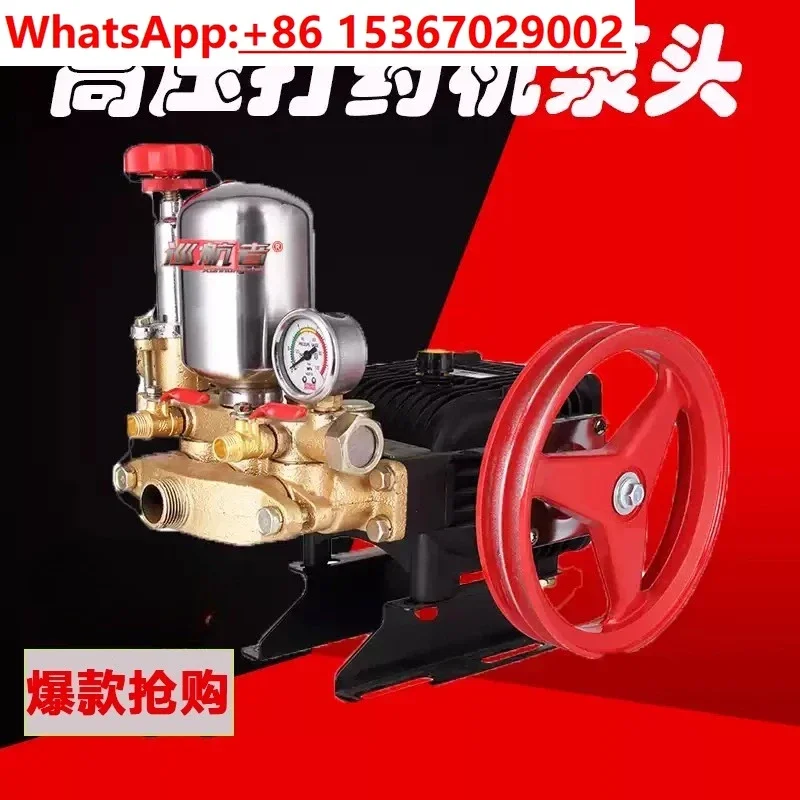 

Agricultural new type plunger pump high pressure household dispenser sprayer garden fruit tree electric high power sprayer