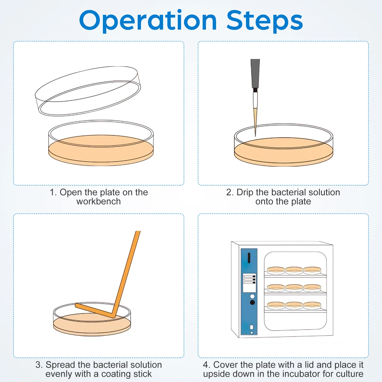 

20 Pcs Cell Culture Plate Science Lab Equipment Party Decorations Experiments Agar Plates Mycology Prepoured