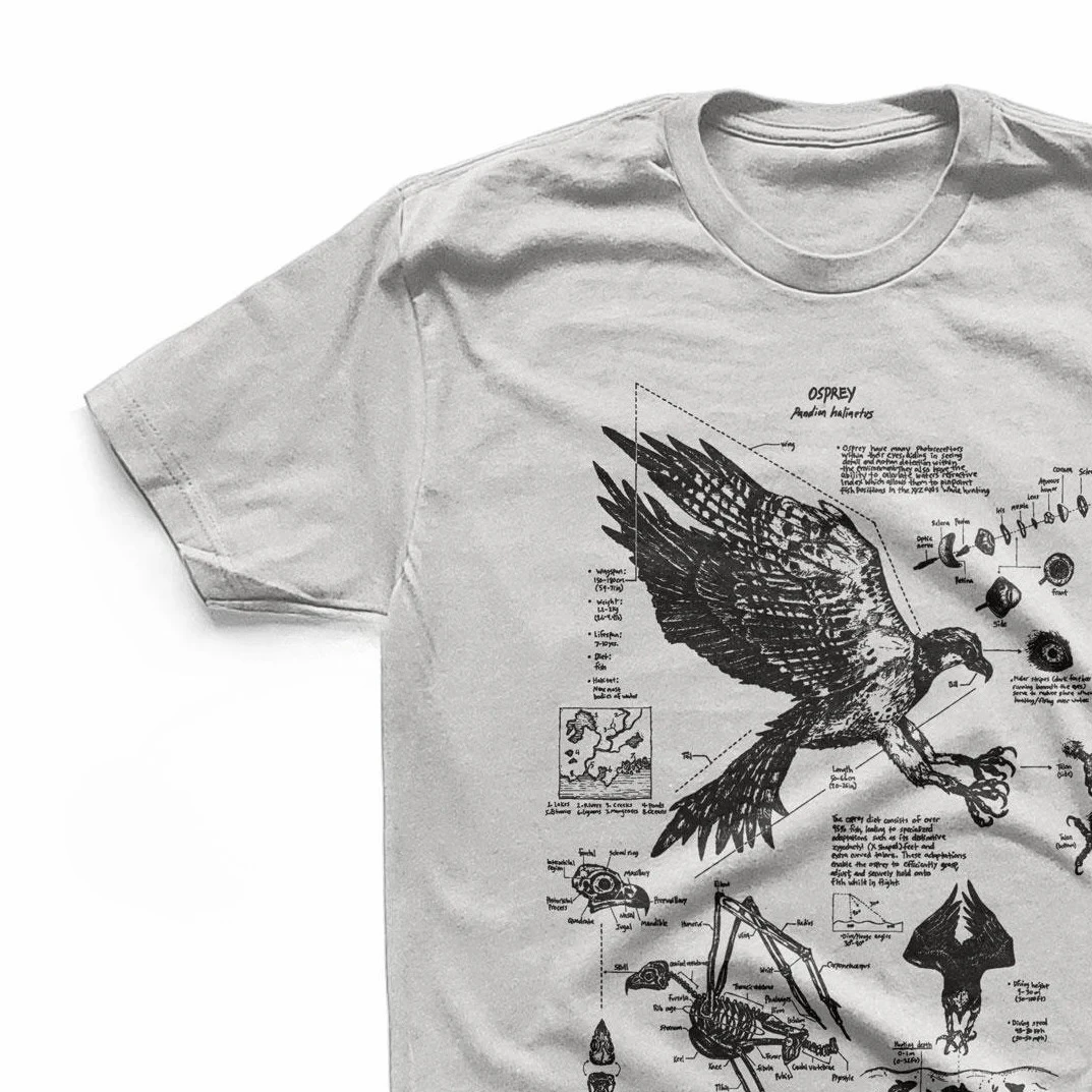 Fashion Osprey Anatomy Tshirt, Original Fish Hawk Drawing Screen Printed on A Soft Cotton Shirt, Hand Drawn Bird Biology Diagram