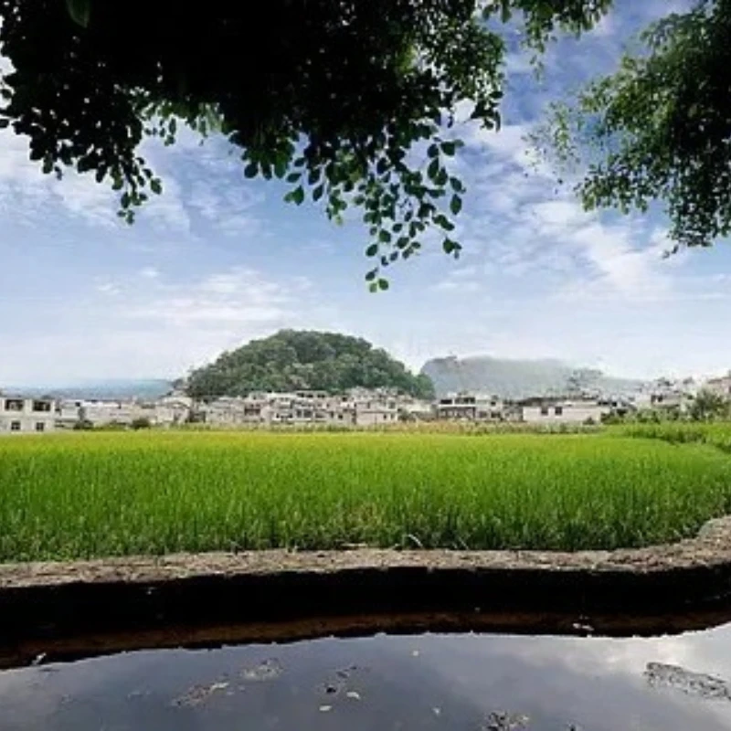 

GEPRC GEP-CL30 V2 O3 Комплекты рамок Подходит для дрона Cinelog 30 V2 Рама из углеродного волокна DIY RC FPV Квадрокоптер Аксессуары для дронов Запчасти