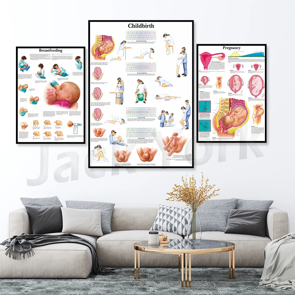 

Pregnancy and childbirth poster Art Poster Print Body Map Canvas Painting Wall Pictures for Medical Education Home Decor