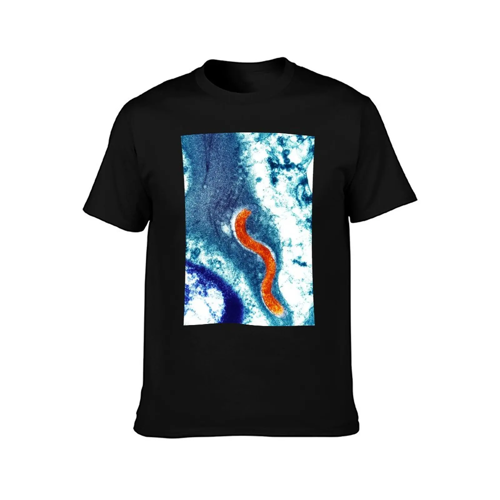Syphilis bacterium (Treponema pallidum) (B220/1719) T-Shirt Odor Resistant Short Sleeve Top T-Shirt