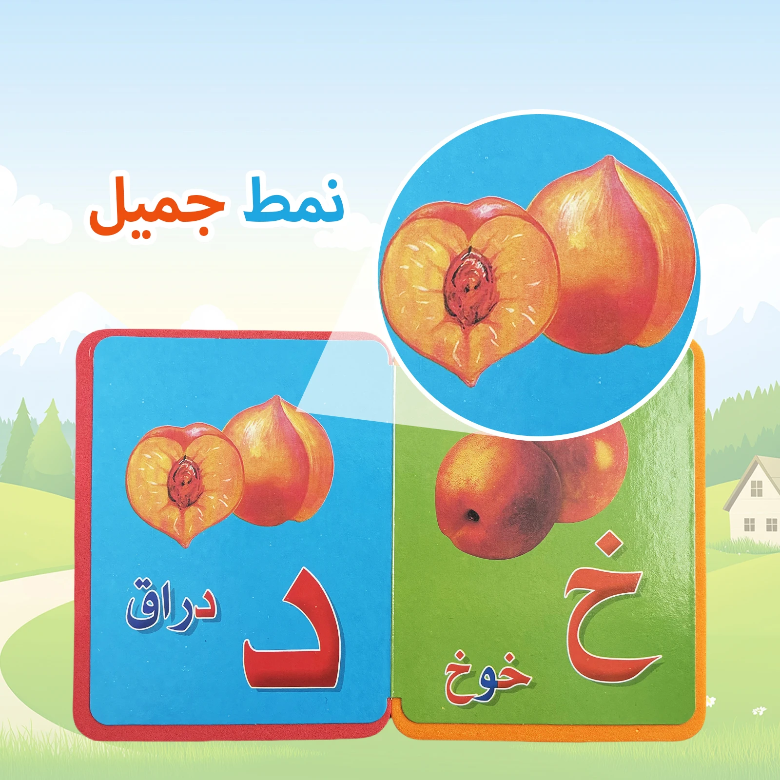 Arabic Small Card Book Series Baby Preschool Learning Book Educational Education Colorful Content Story Book