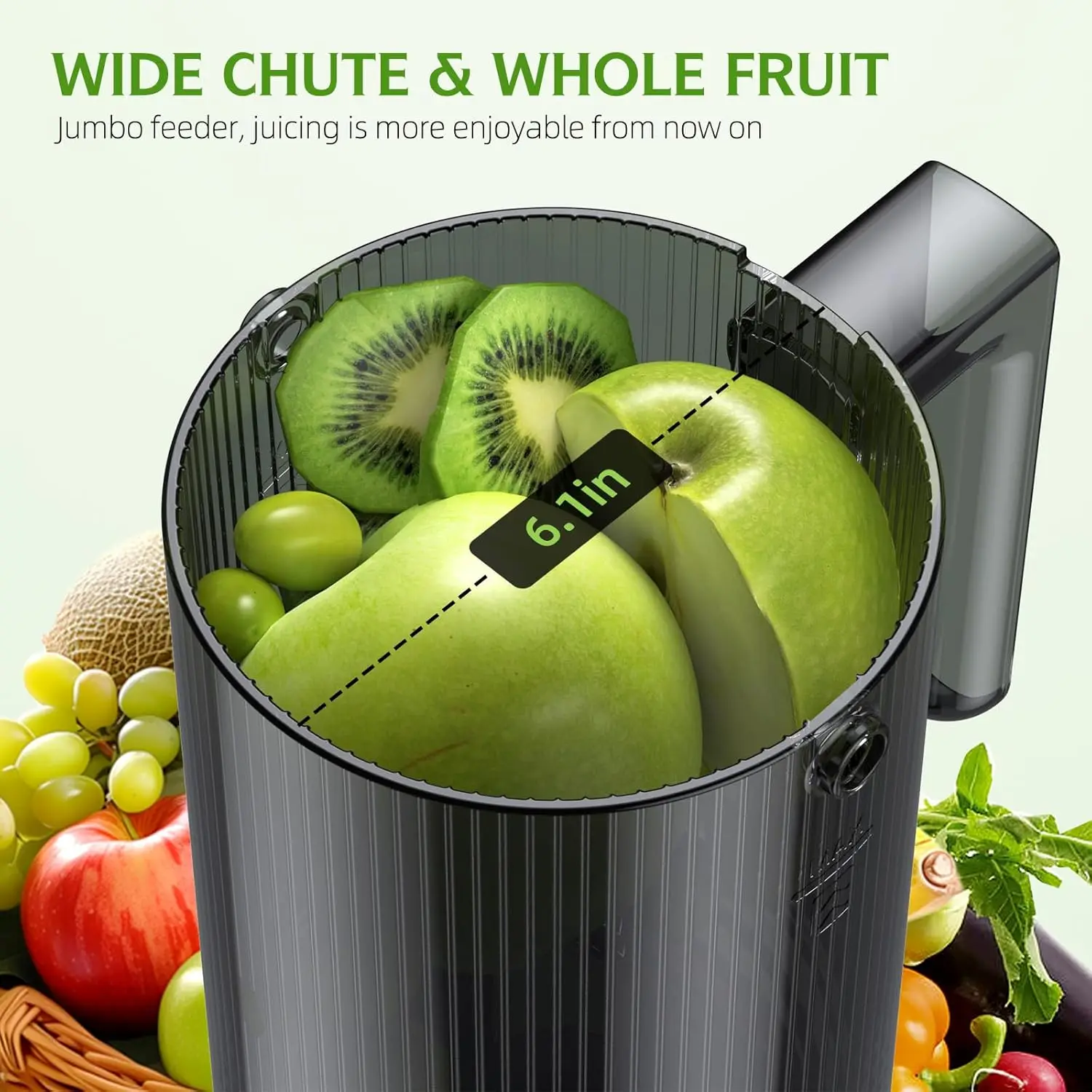 Slow Masticating Juicer with 