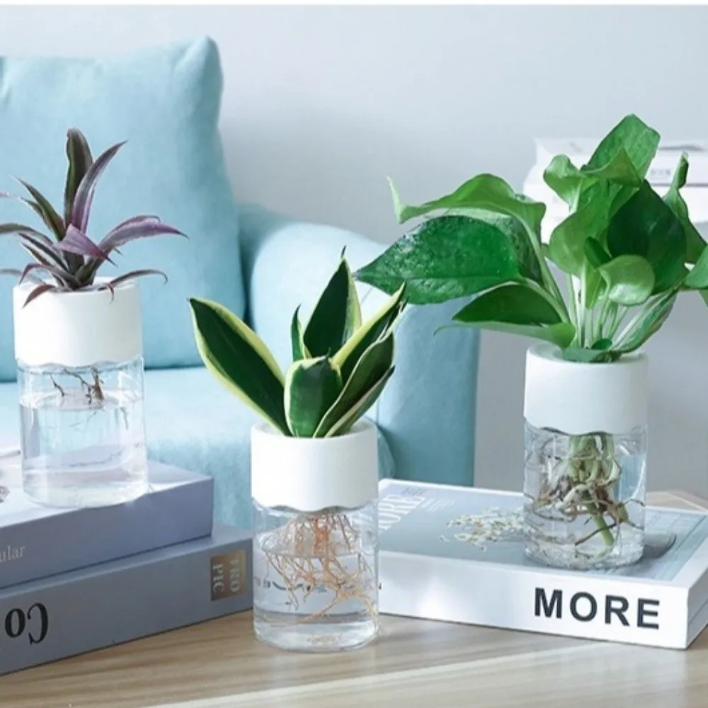 2pcs Plastic Hydroponic Flower Pot Simple Flower Holder Soilless Cultivation Pot Transparent Minimalist Clear Plant Vase