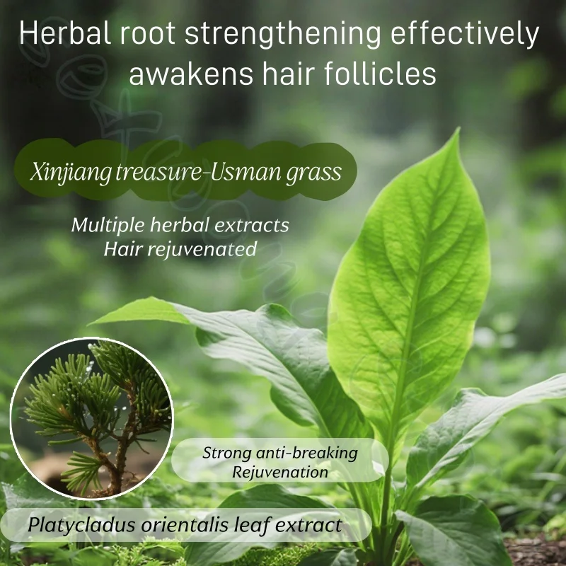 صابون شامبو عشبي طبيعي من أوراق أربورفيتا عشبي عثماني منعش وشعر قوي ومهدئ لتخفيف فروة الرأس 120 جرام #3