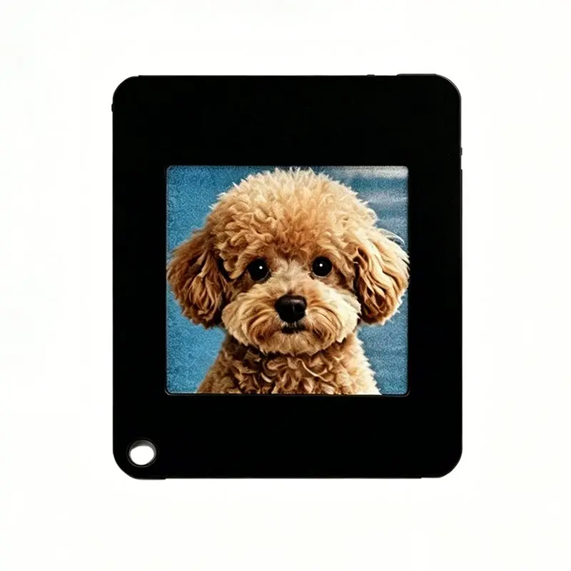 [nuovo-a09r-]-funzione-di-trasmissione-wireless-schermo-e-paper-da-154-4-colori-display-con-memoria-immagine-portachiavi