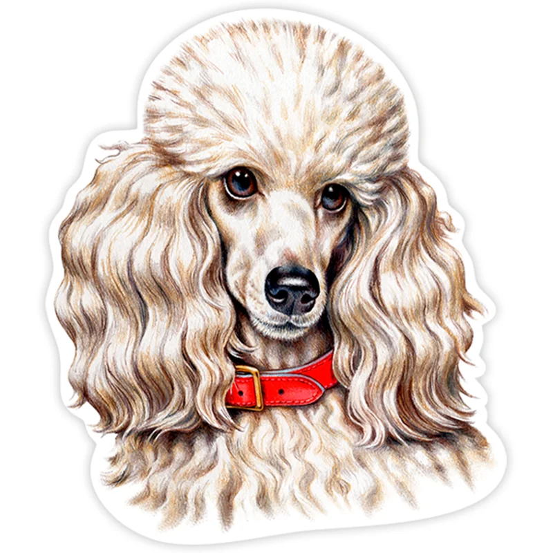 Z91# 13CM/17CM PVC Decal Poodle Dog Car Sticker Waterproof For Bumper Rear Window Laptop Refrigerator Toilet