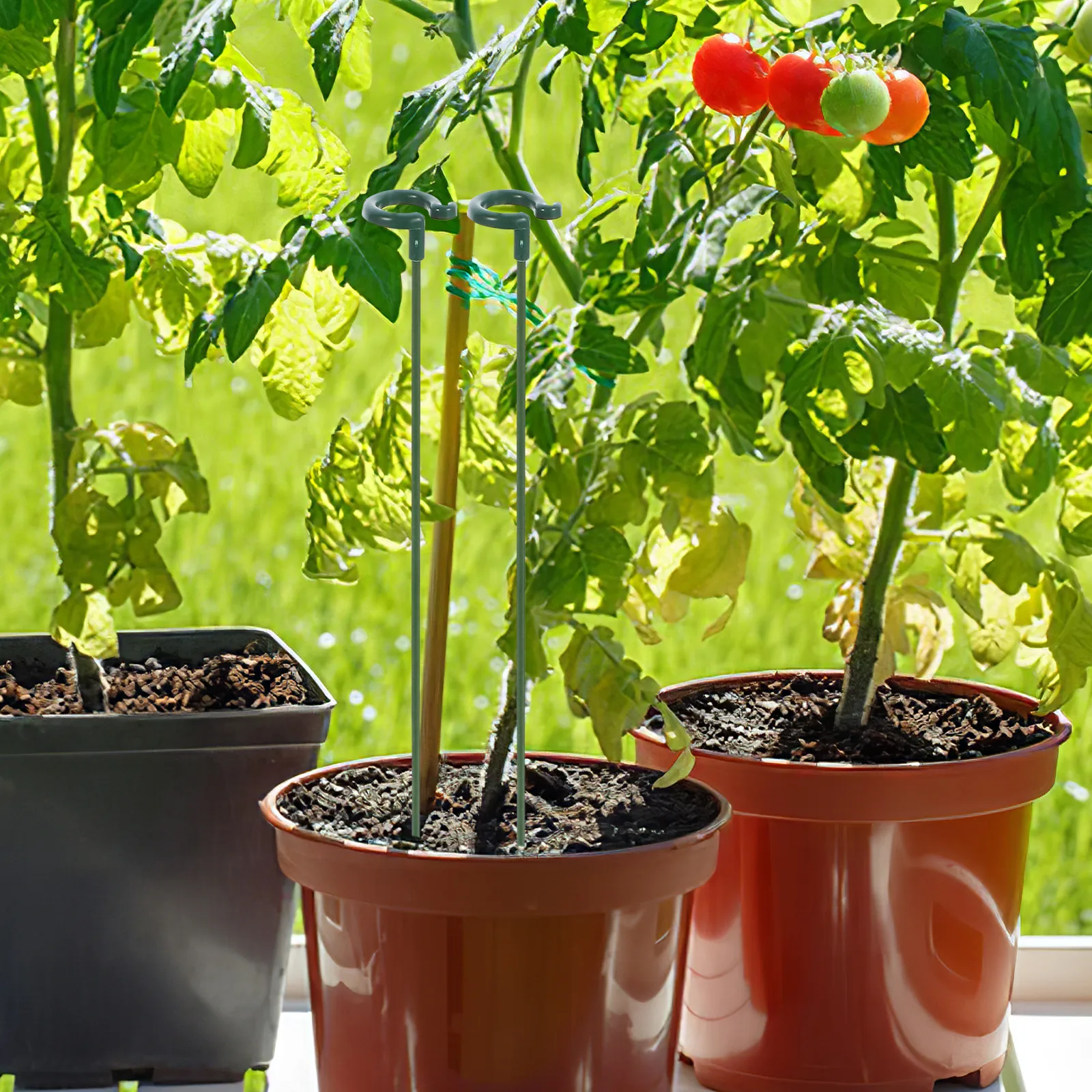 

10 Pcs Plant Growth Stands 37cm ABS Stakes Support Climbing Plants Garden Flower Pot Stabilizer