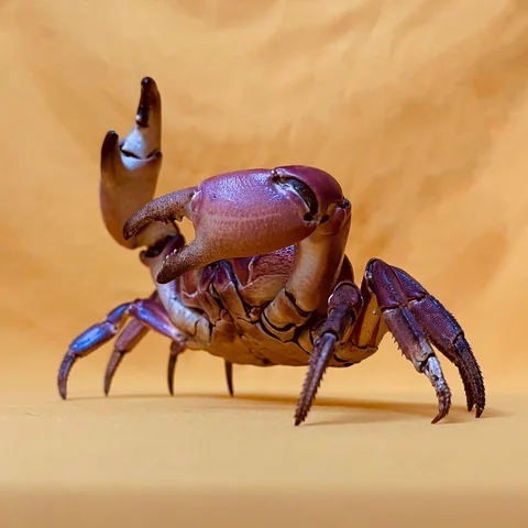 Gecarcoidea Lalandii 표본 보라색 게 박제 독특한 심해 수공예품 수집가 홈 장식 자연 애호가를위한 이상적인 선물