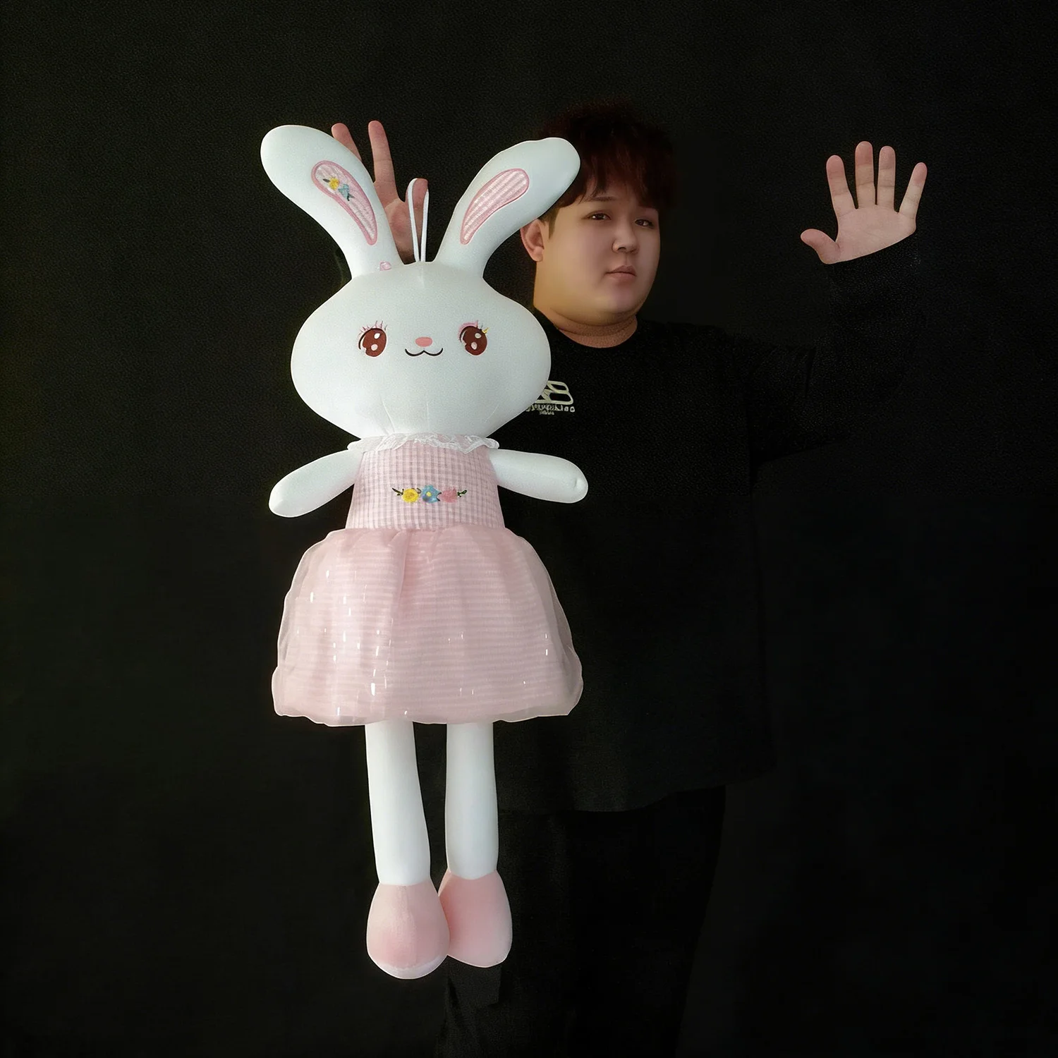 Appearing Rabbit By…