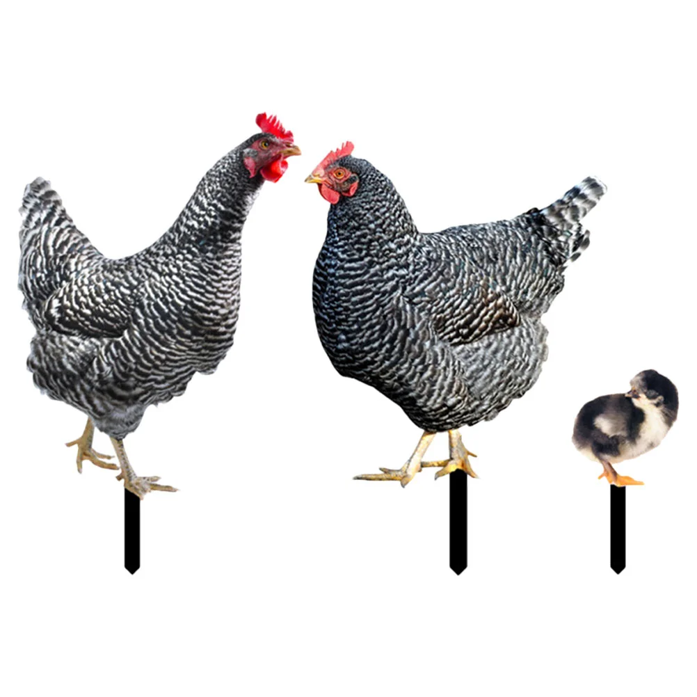 

3 Pcs Large and Small Chicken Decorations Plant Lawn Garden Accessory Signage Yards Decorative Acrylic Stakes