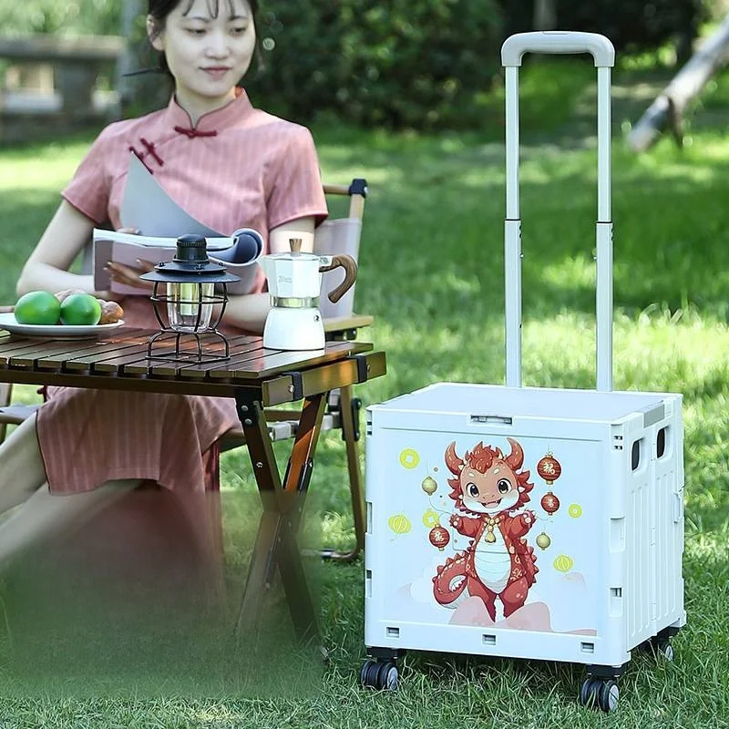 carrito-de-compras-de-gran-capacidad-con-diseno-de-los-doce-signos-del-zodiaco-con-barra-de-arrastre-carrito-de-almacenamie