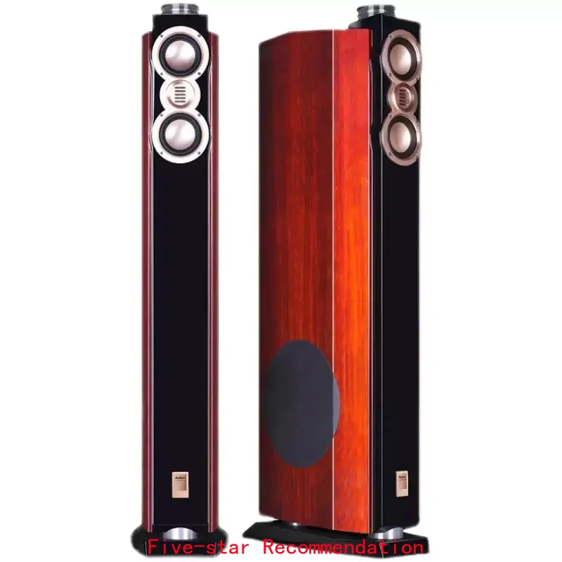 DX-2 High End Floor Speakers, 10" Deep Bass HiFi Passive Tower, Audiophile Sound System for Home Cinema & Music