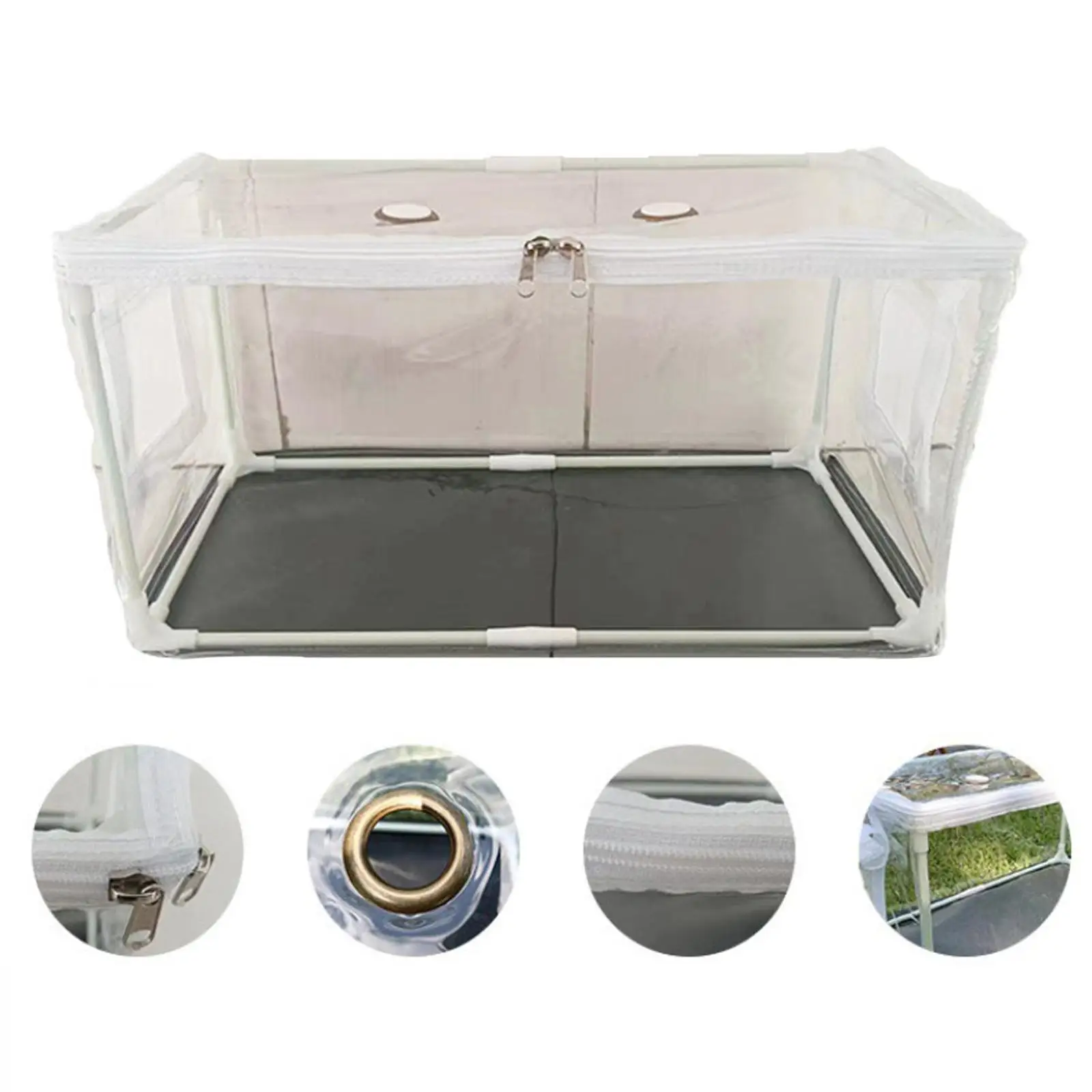 Mushroom Container DIY Kit 80cmx50cmx50cm Horticulture Supplies Space Saving Cover Mini Greenhouse for Kids and Adults