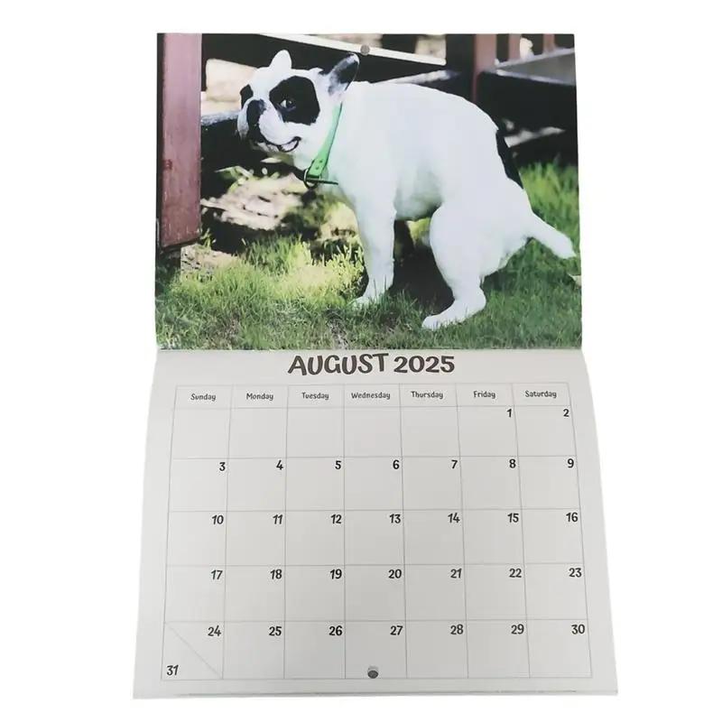 

Dog Calendar 12-Month Wall Calendar 2025 Hangable Monthly Calendar Decorative Hangable Calendar For Date Work Planning