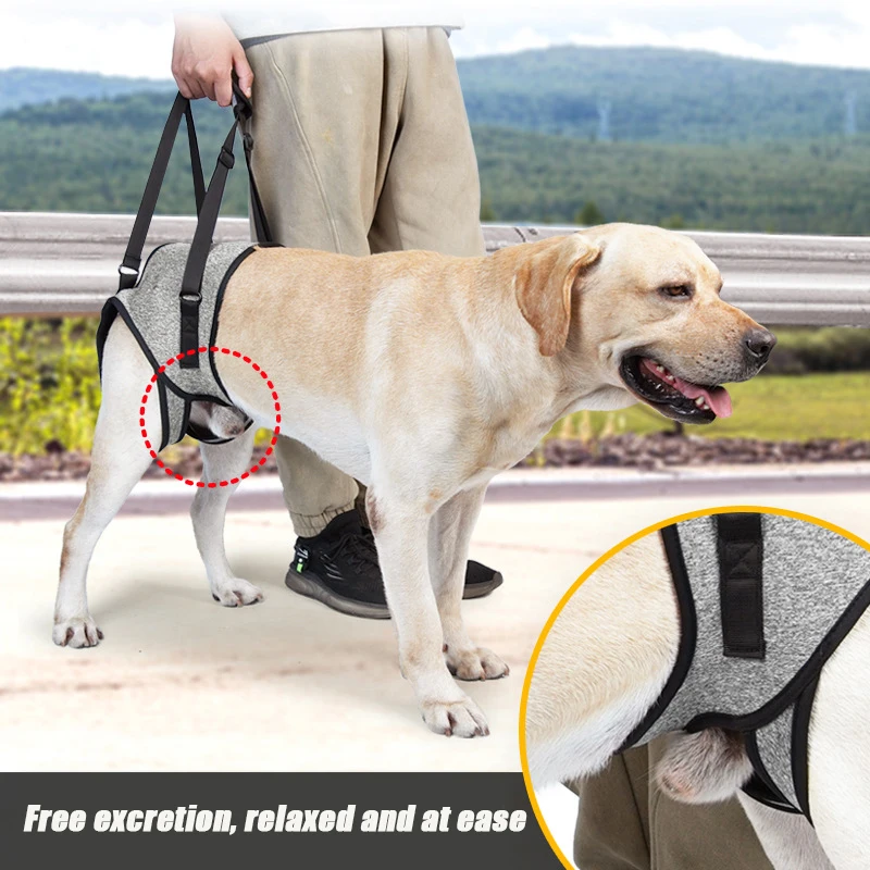 

Adjustable Dog Lift Harness for Large Dogs Soft Padded Pet Rear Leg Support for Old Disabled Joint Injuries Dog Back Leg Hold