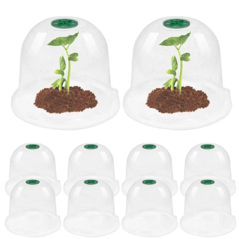 Gardening Seedling Cover Plant Dome 10PCS Garden Cloche Greenhouse Dome Set Transparent Cloches Plants Seedlings Prevents Snails