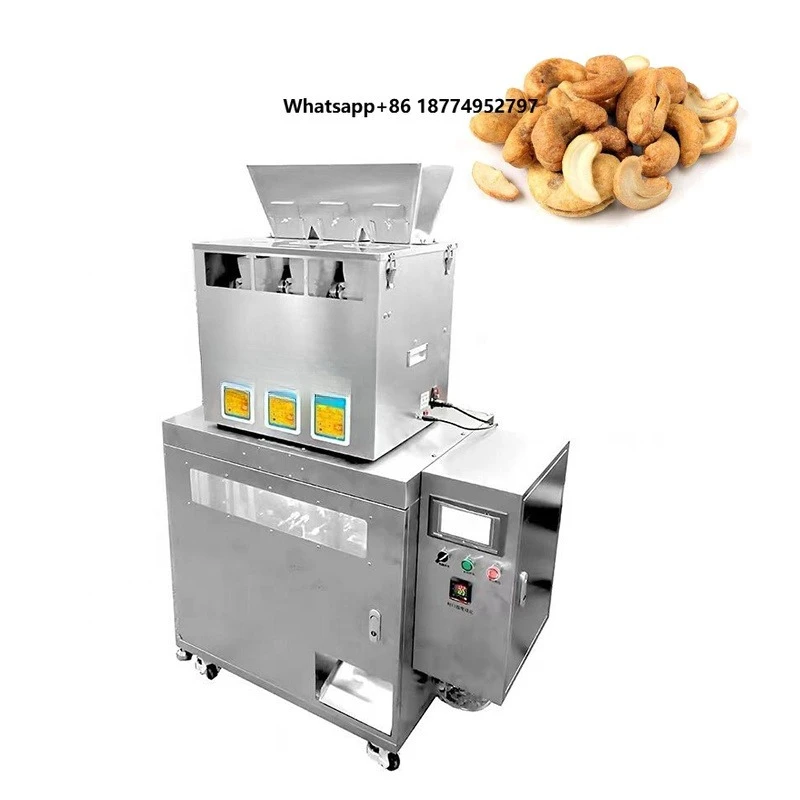 Automatic 50g 200g 500g Seeds Filling Machine Packaging Legume Grain Animal Feed Multi Function Packing Machine