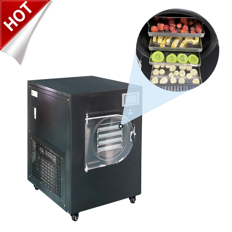 

Customized Fruit Liofilizador Machine Price Small Mini Laboratory Vacuum Freeze Drying Equipment Home Food Freeze Dryer