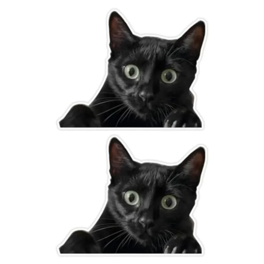 

Набор из 2 наклеек с изображением удивленного черного кота, 5,91x4,72 дюйма, забавные водонепроницаемые виниловые наклейки для автомобиля, ноутбука, стены, окна, мотоцикла, декор