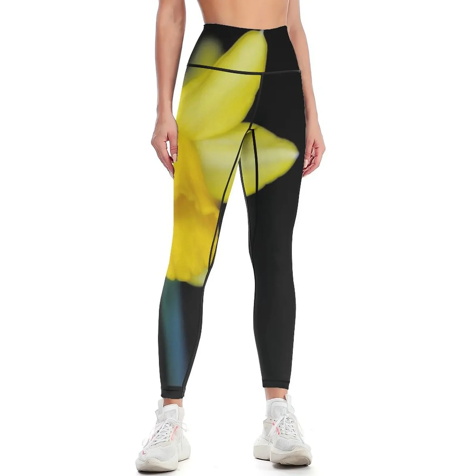 

Леггинсы нарцисс женские для спортзала женские спортивные женские спортивные брюки леггинсы для спортзала женские леггинсы