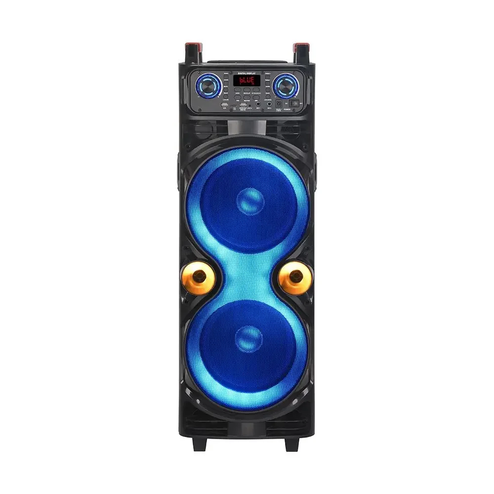 

Dual 10 Inch Customizable Home Party Speaker With Wireless Mic BT/USB/AUX Remote Control NDR-1100