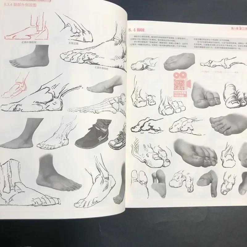 Buriman's Human Body Structure Tutorial: Art Mastery Collection Sketches, Basic Drawing Techniques, and Dynamic Anatomy Guide