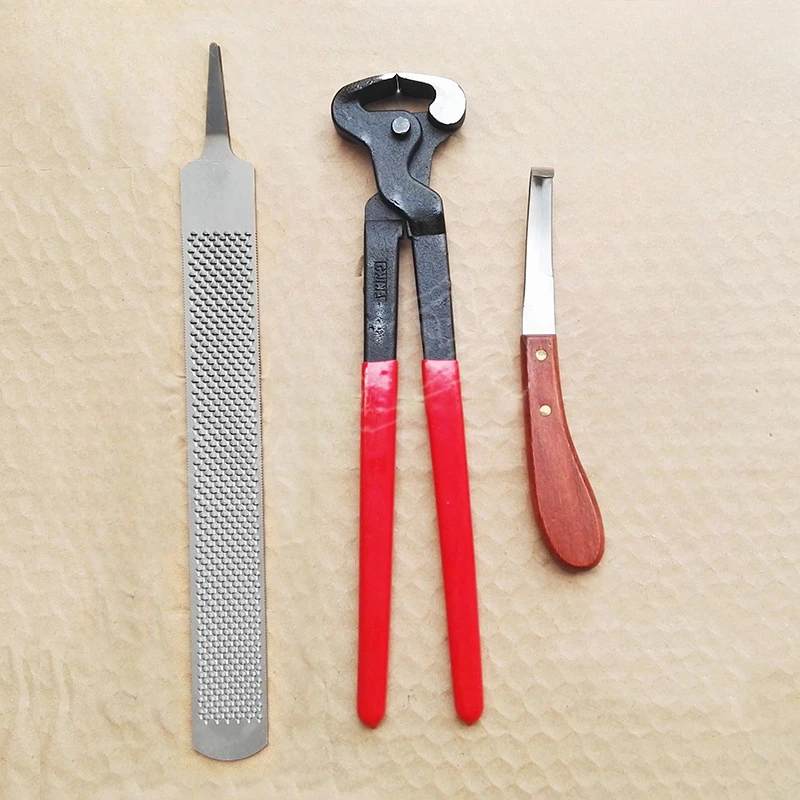 3 Pieces Horse Hoof Trimming Horseshoe Pliers Nipper Farrier Tools for Horses, Cows, Sheep, Equestrian Supplies Horse Hoof File