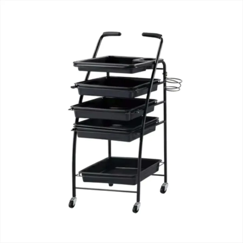 

L-29 New Salon Trolly Cheap Salon Equipment Spa Trolly