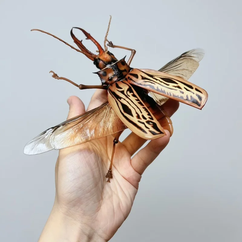 Bandai Chalcosoma Atlas Caucasus Beetle Movable Model Hyper-Realistic Insect Ornament Toy for Collectors Authentic Action Figure