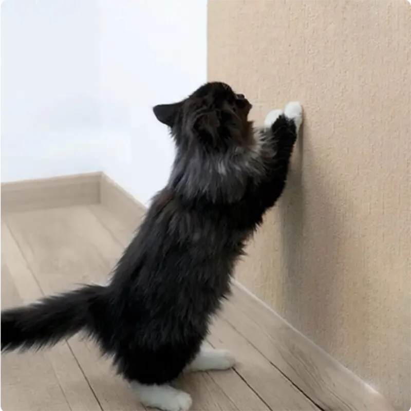 Gray Cat Scratch Mat Self-adhesive Carpet Cat Scratch Board 30Cm Suitable for Sofa Furniture Protective Mat Stickers