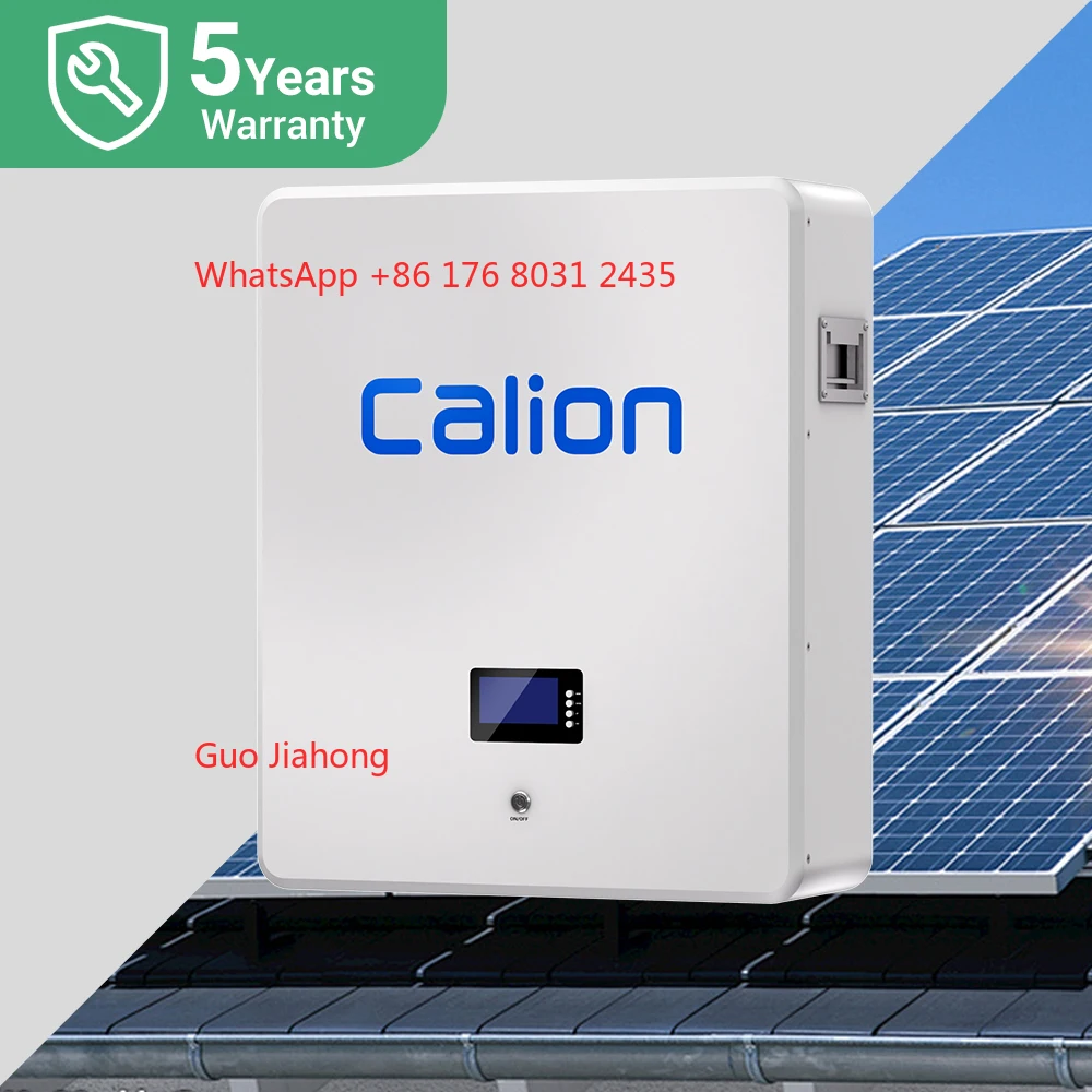 

5KWH & 10KWH Home Energy Storage Wall Mountable Space Saving Lithium Ion Battery Pack (LiFePO4) 100AH & 200AH