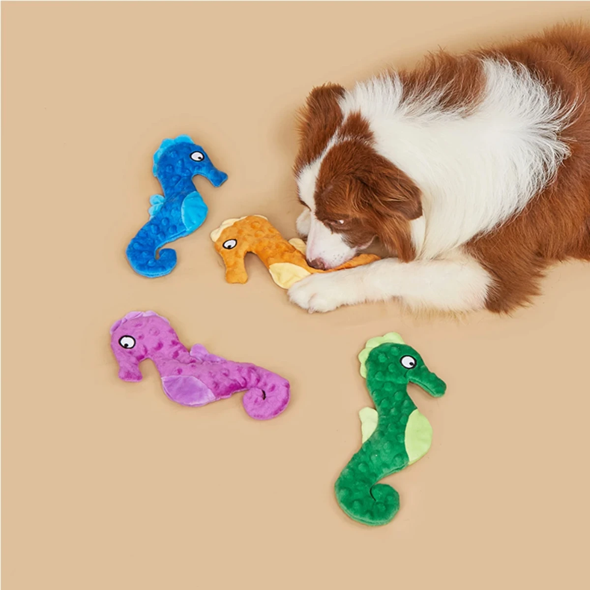 Hippocampus paper making cat and dog toys, little cats and dogs happily playing, grinding teeth and cleaning teeth Toys for dogs