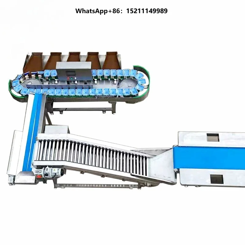 Vegetable Fruit Sorting Machine PLC Controlled Potato Tomato Garlic Onion Weighting Classification Scales Avocado Pear Orange
