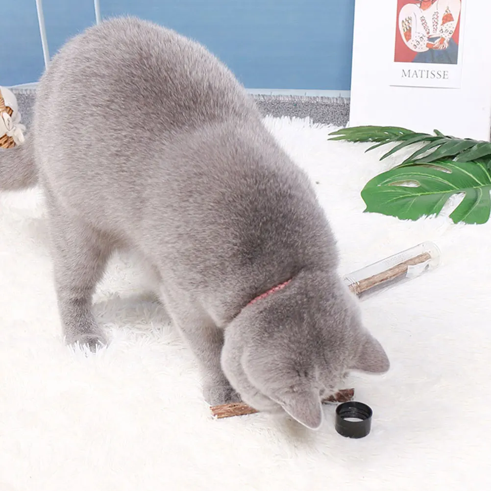 

Creative Molar Stick Dog Cleaning Bite Teeth Grinding Cat Wooden Polygonum Supplies Lightweight Portable Dog Cleaning Rod Cat