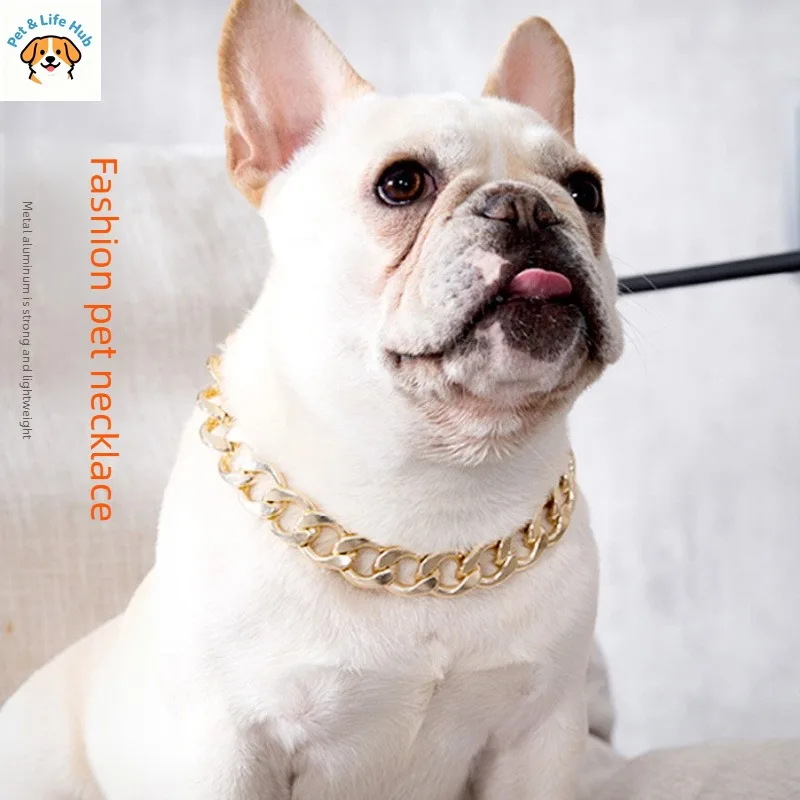Coleira de corrente dourada para cão