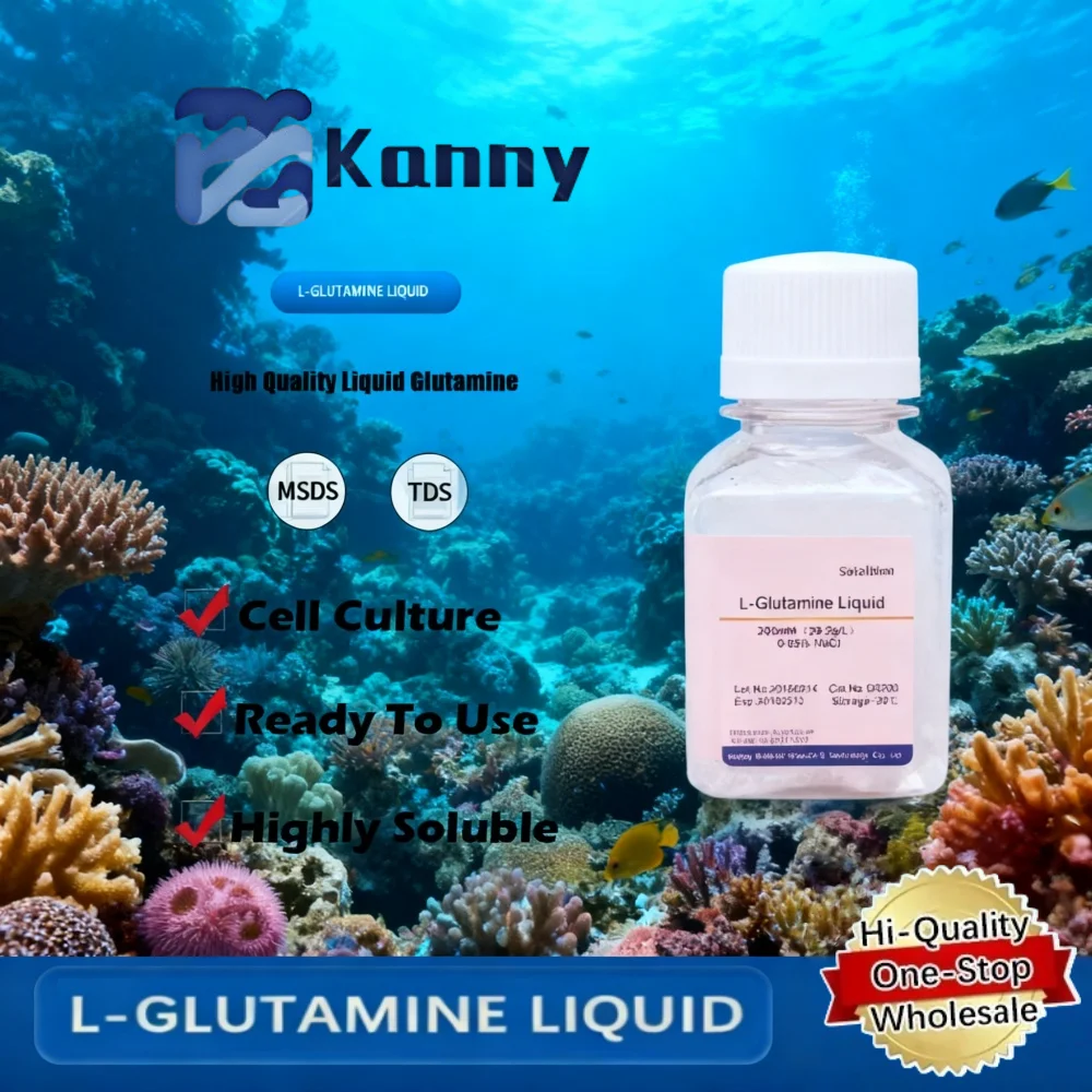 L-GLUTAMINE LIQUID para aplicações de cultura celular e pesquisa bioquímica Produto original