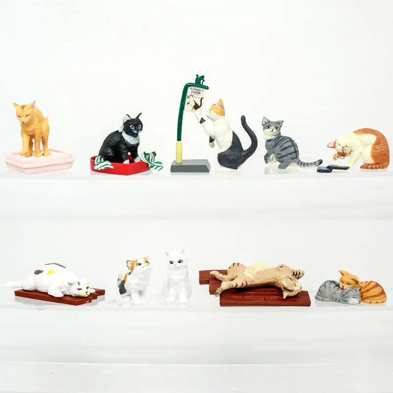 Simulação animal gato cena kawaii anime estatueta estática em miniatura caixa cega brinquedos coleção ornamento de mesa crianças presentes