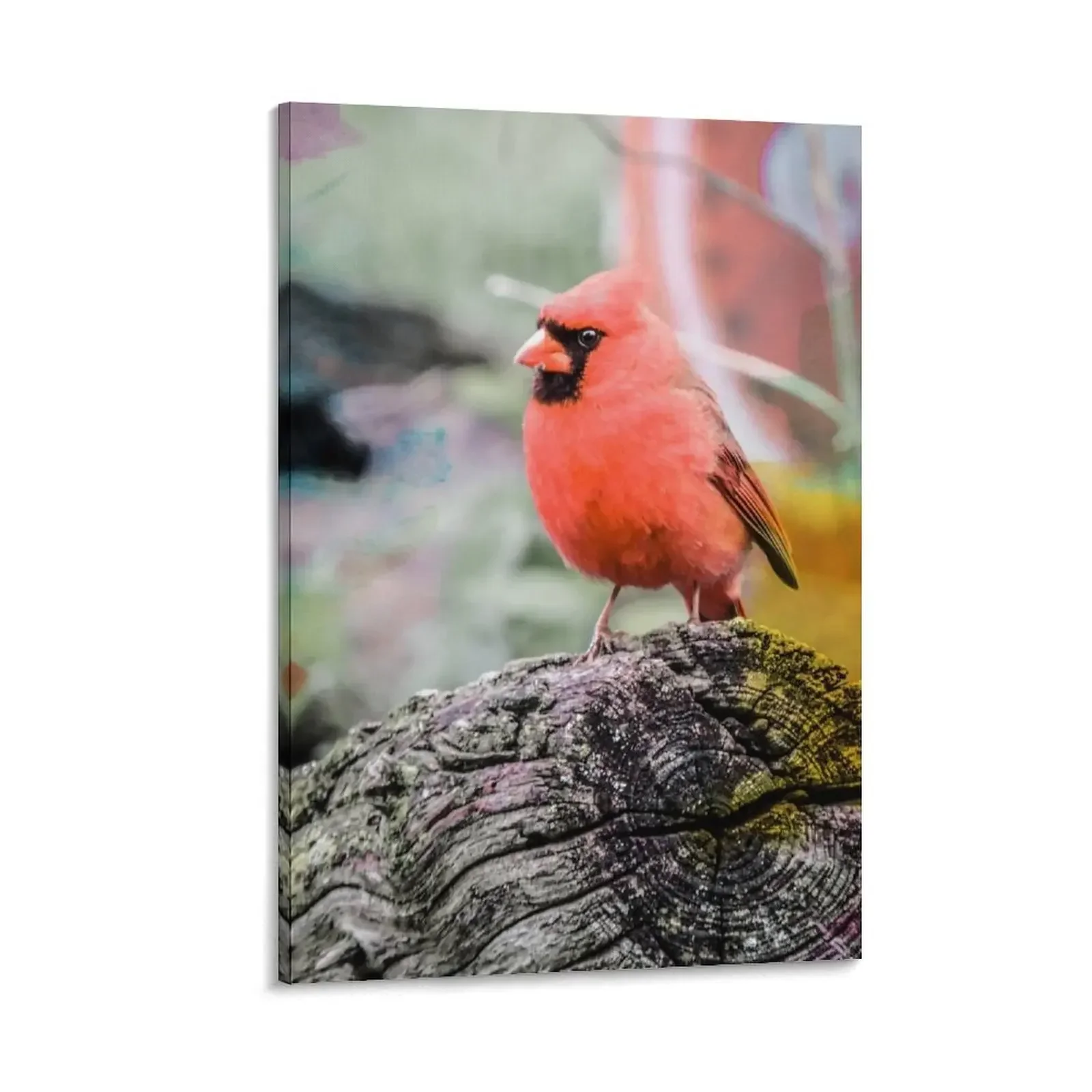 

Cardinal Canvas Painting home decors accessories room decors aesthetic anime decoration anime posters