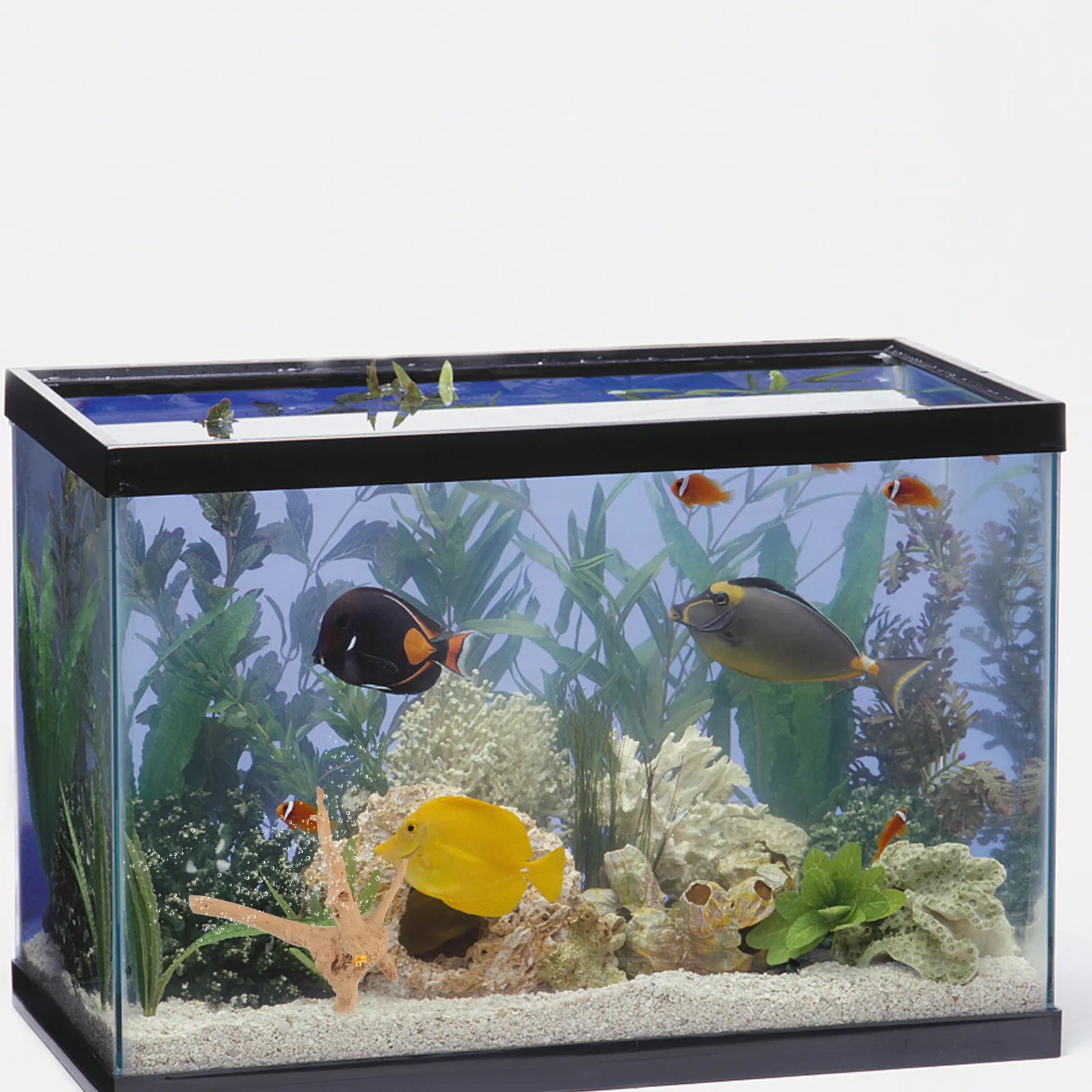 Balık Tankı için Doğal Ağaç Kö - Aquarium Driftwood incelemesi ve fiyatı
