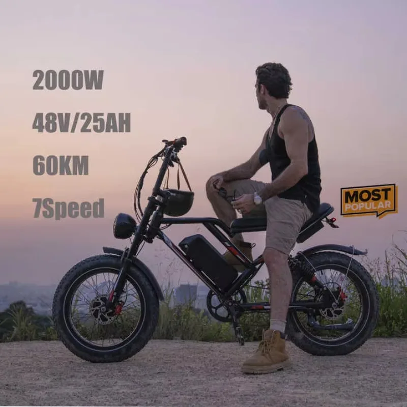 

STLF Electric Bike for Adults, Motor 2000W 31MPH Long Drive,48V25AH Battery, Electric Bicycle, 20 Inch off Road Fat Tire E Bike