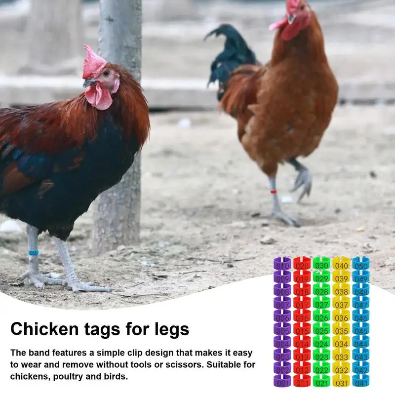 Chicken Identification Band Numbered Rings Poultry Chicken Thigh Band Clip Chickens Ducks Leg Rings Clip On Round Tags For